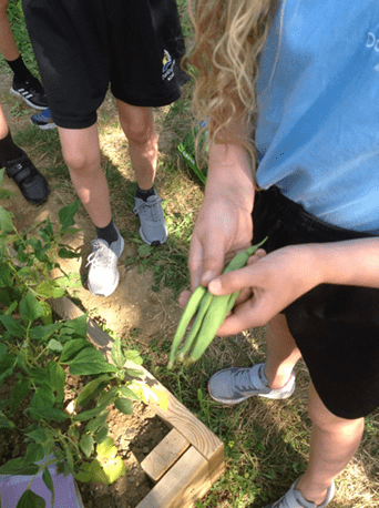 Children Gardening